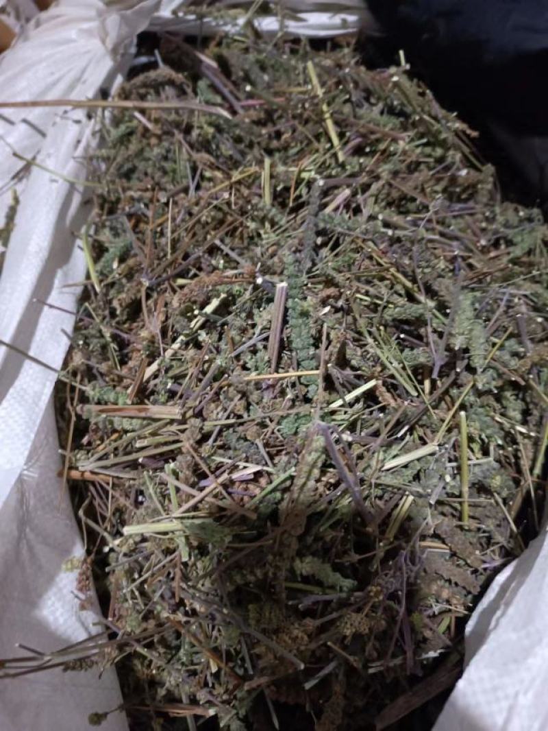 荆芥穗，荆芥三刀，榨穗