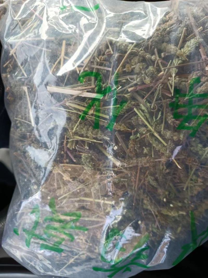 荆芥穗，荆芥三刀，榨穗
