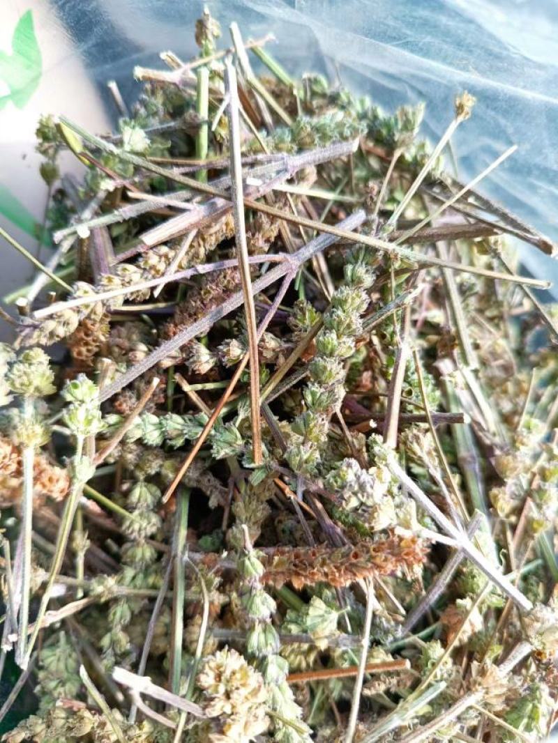 荆芥穗，荆芥三刀，榨穗