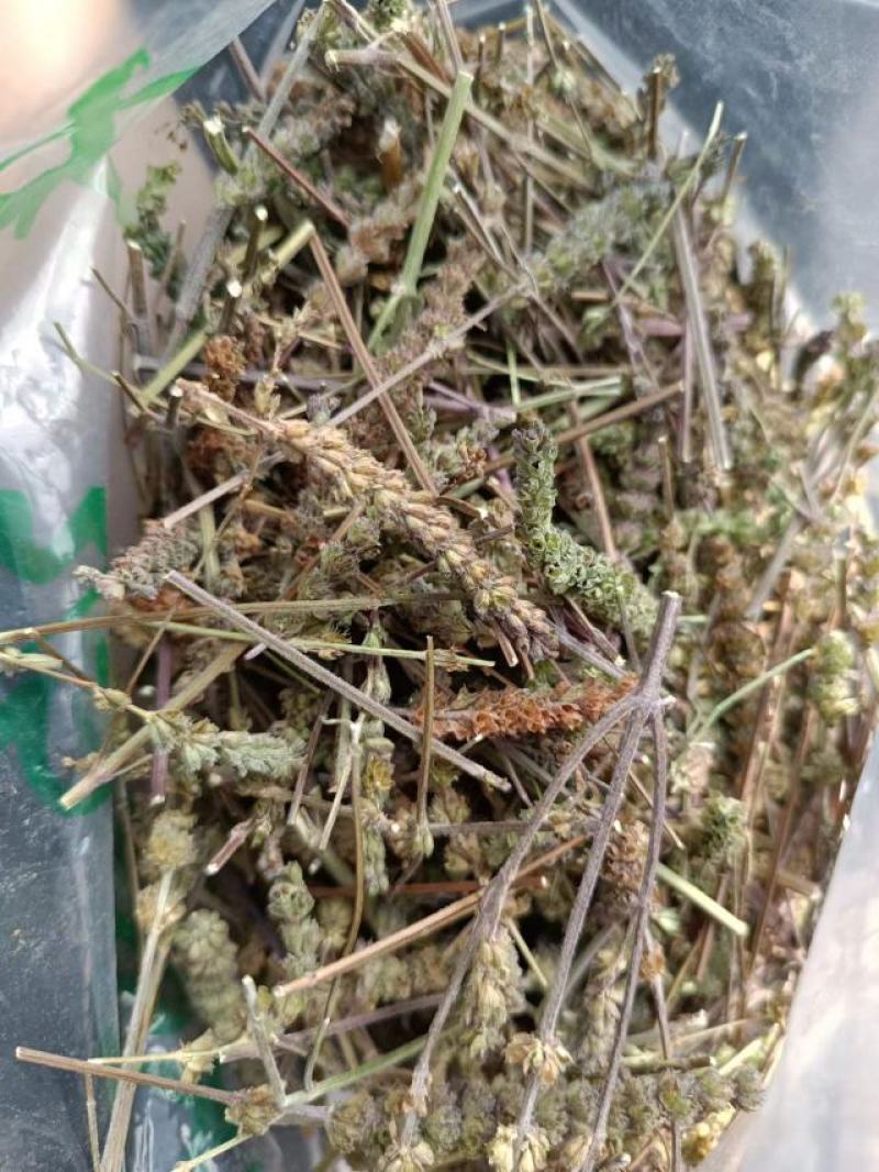 荆芥穗，荆芥三刀，榨穗