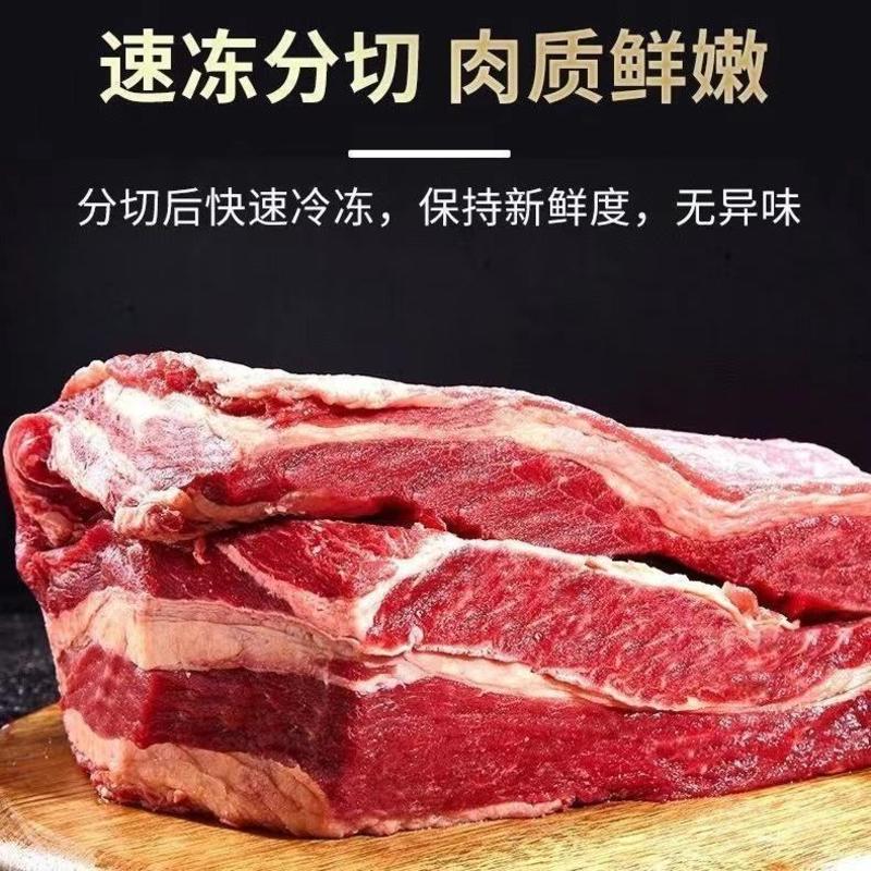 【包邮-10斤牛腩】新鲜大块牛腩肉牛肋条肉大块牛腩肉