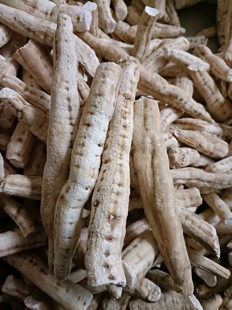 天花粉片，个子，药厂货