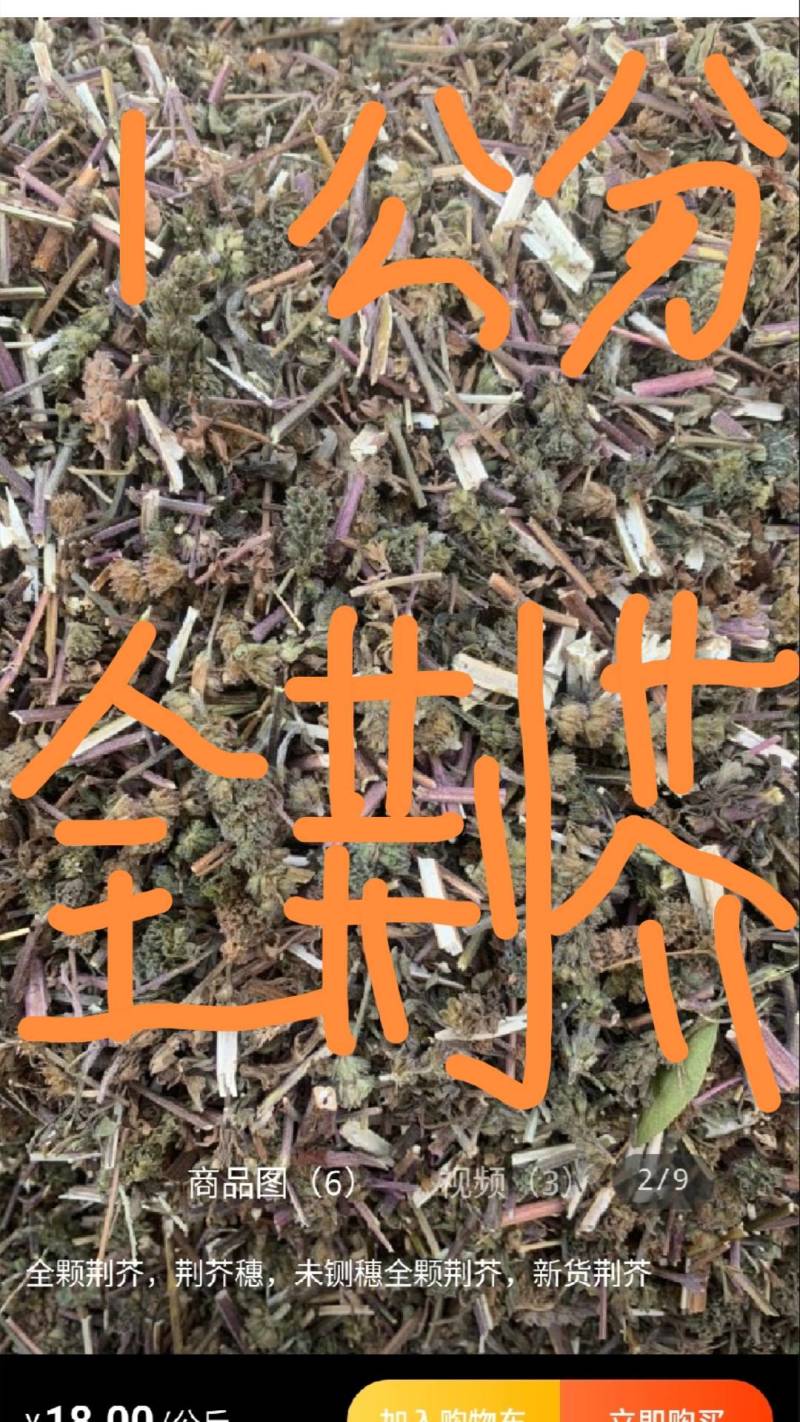 荆芥咀河北地产荆芥咀荆芥侧穗全荆芥都有需要的请联系我