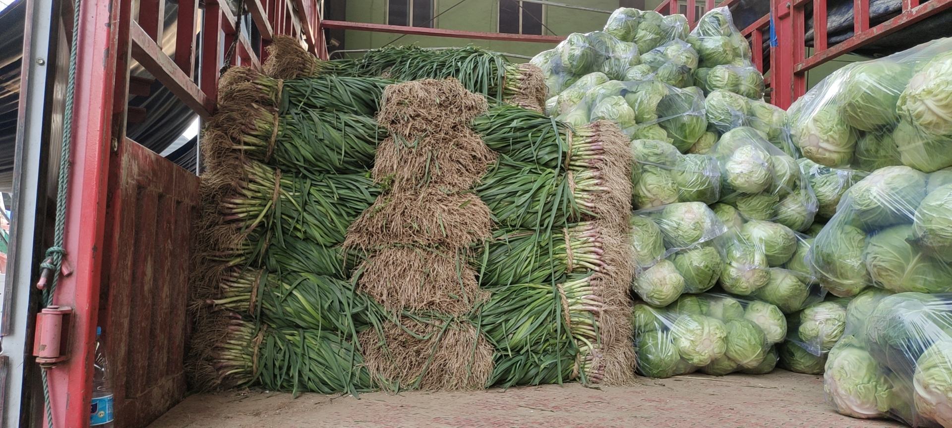 红菜苔冷链运输车准备发往外地批发市场,车厢内整齐码放装箱的红菜苔 红菜苔冷链运输车