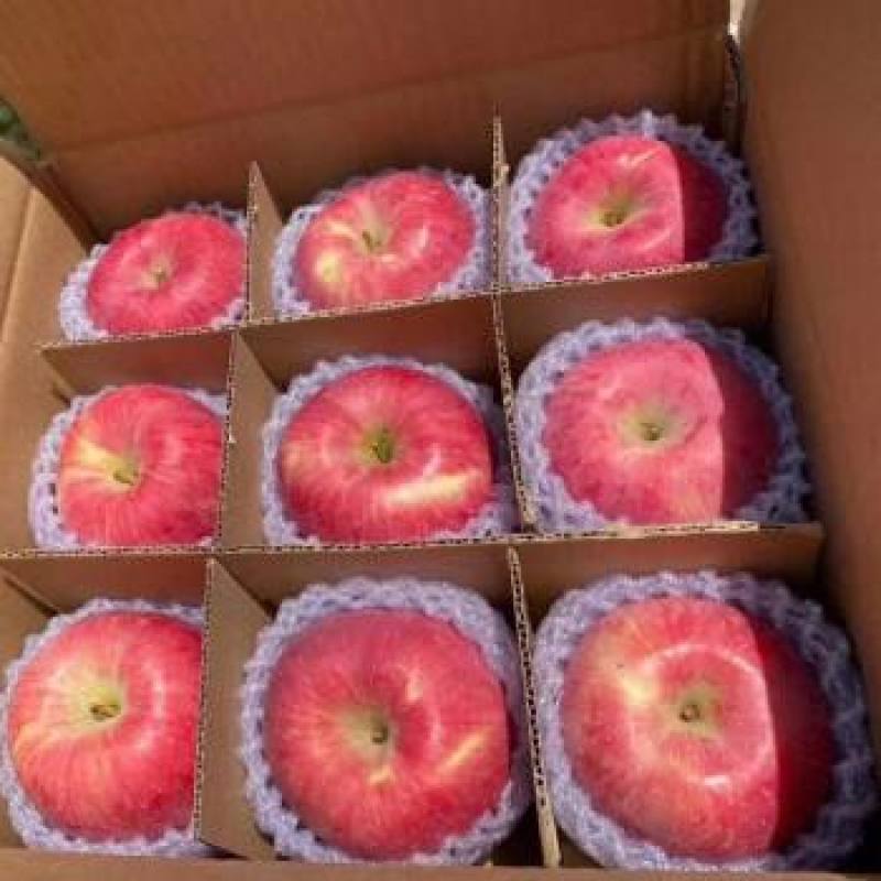 山东红富士苹果脆甜多汁规格品种多样化果面靓丽
