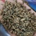 金沙牛地牯牛一手货源欢迎采购量大从优