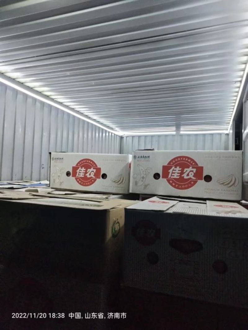圣女果贝贝价格低口感好，品质高。全国各地发货。