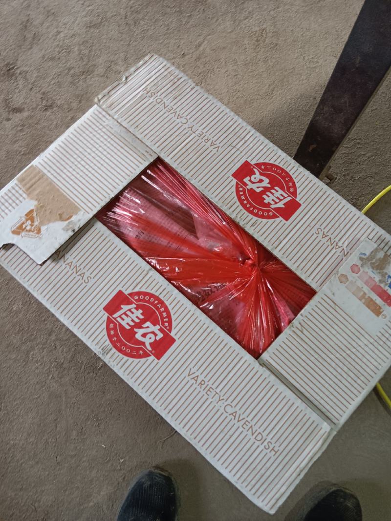 圣女果贝贝价格低口感好，品质高。全国各地发货。