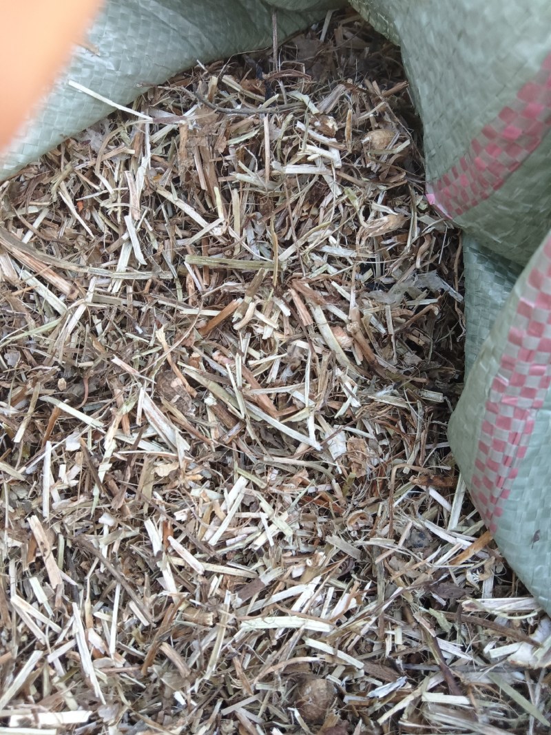 牛羊饲料花生秧子产地发货大量供应全国发货