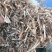 牛羊饲料花生秧子产地发货大量供应全国发货
