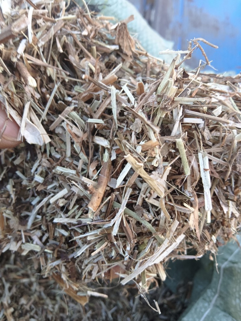 牛羊饲料花生秧子产地发货大量供应全国发货