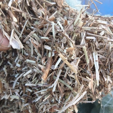 牛羊饲料花生秧子产地发货大量供应全国发货