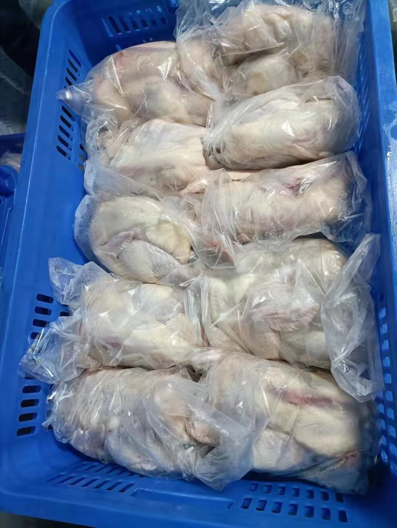 清远鸡天农凤中凤白条鸡鲜品光鸡16元/斤源头