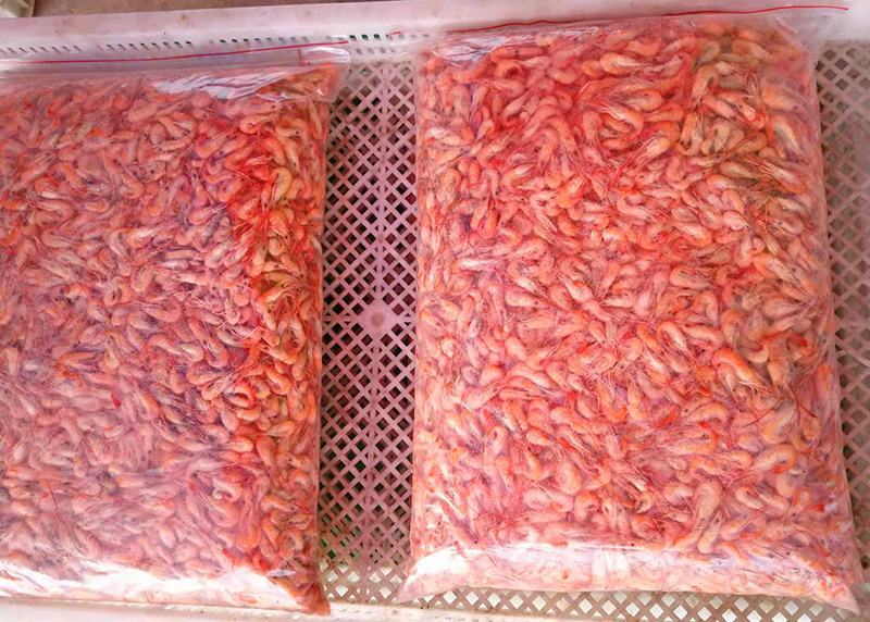 原产地厂价批发冻红虾货源充足新鲜河虾水煮而成