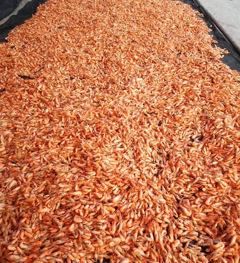 原产地厂价批发冻红虾货源充足新鲜河虾水煮而成