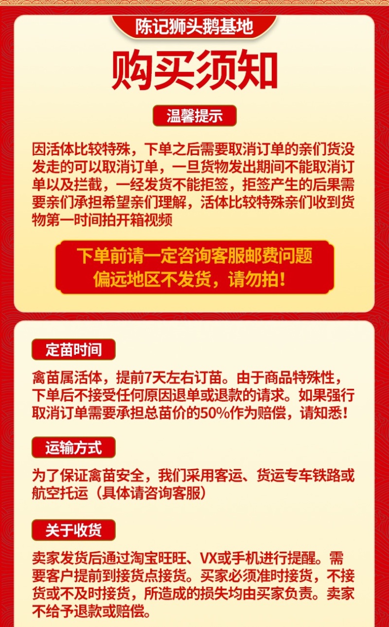 澄海正宗纯种狮头鹅苗鹅仔小鹅苗狮头鹅灰鹅苗