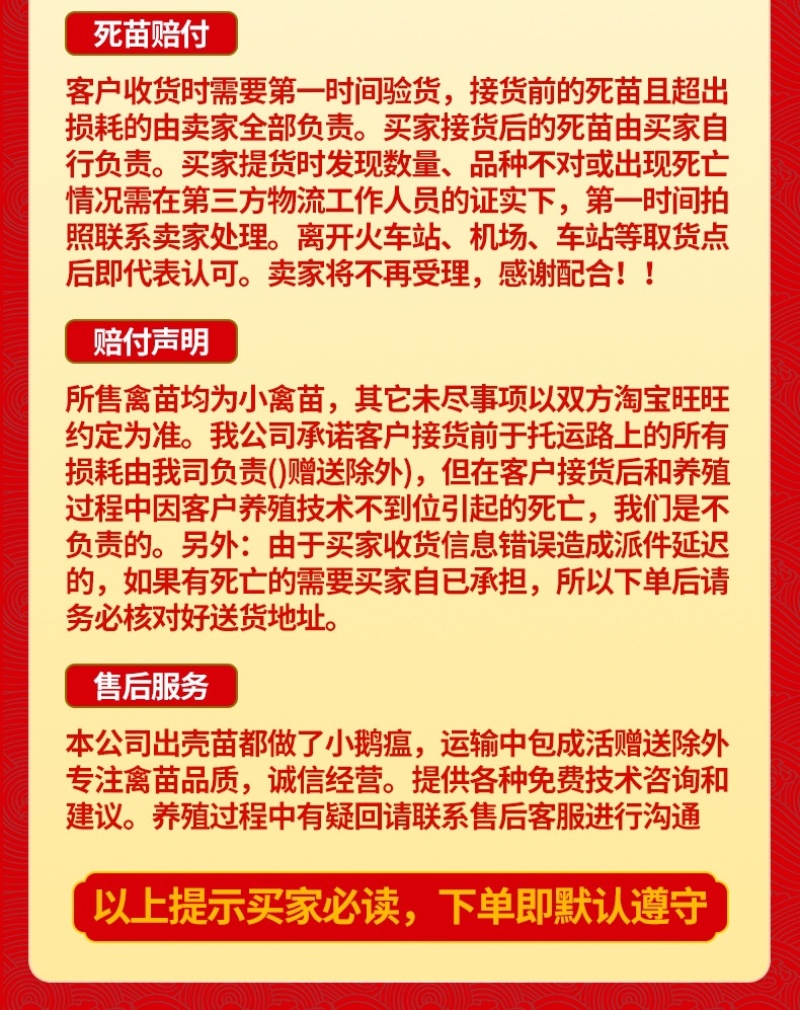 澄海正宗纯种狮头鹅苗鹅仔小鹅苗狮头鹅灰鹅苗