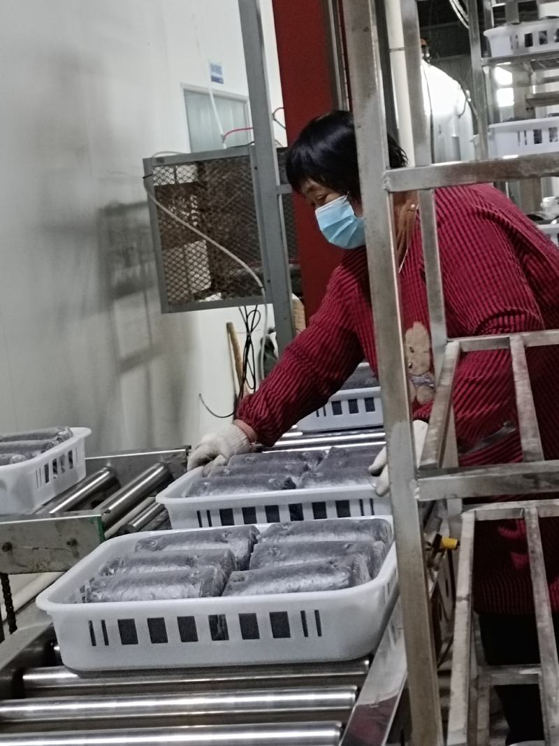 金耳菌源头生产厂家