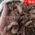 【产地批发】锁阳内蒙古锁阳金锁阳锁阳片整根干货泡酒肉苁蓉