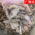 【产地批发】锁阳内蒙古锁阳金锁阳锁阳片整根干货泡酒肉苁蓉