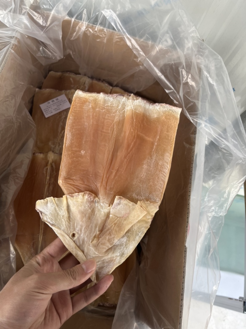无头鱿鱼干带头鱿鱼干批发