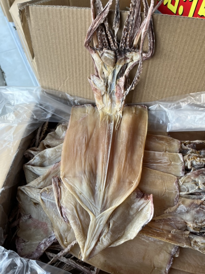 无头鱿鱼干带头鱿鱼干批发