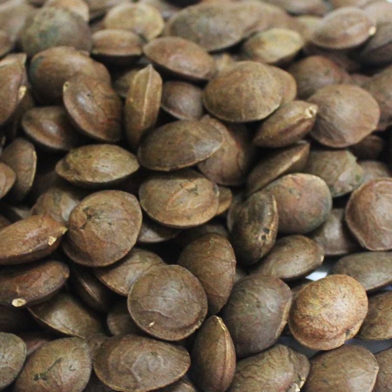 散装印加果种子南美油藤药材星油藤食用保健印奇果印加果