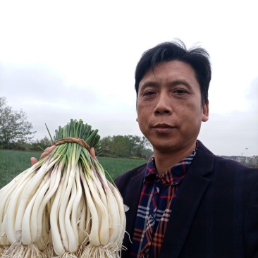 精品藠头
