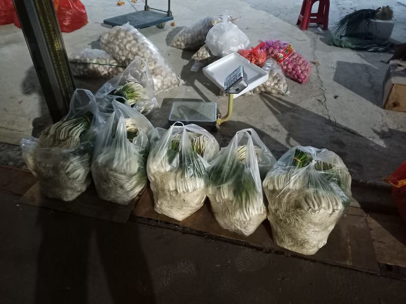 精品藠头