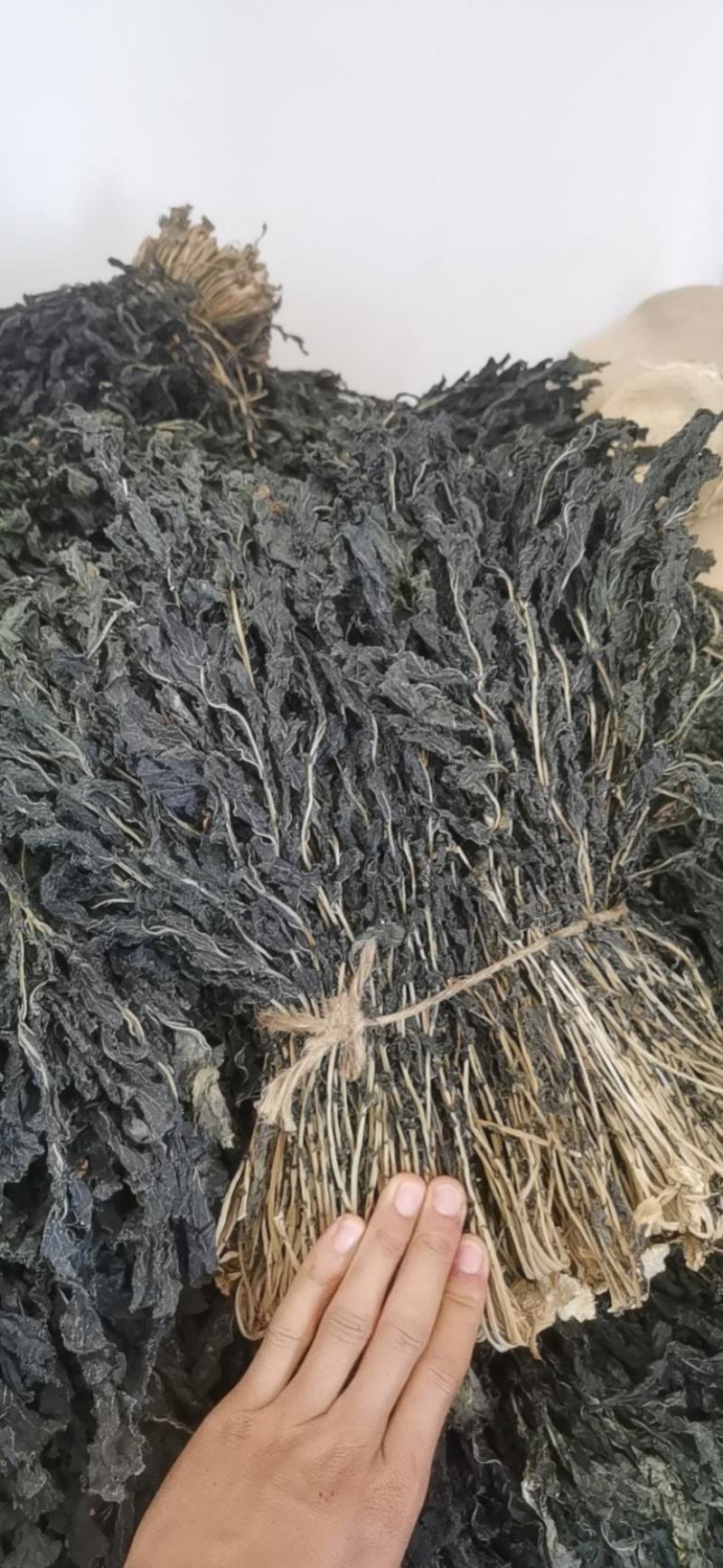 脱水风干萝卜叶子！干萝卜叶子，出口风干萝卜叶子！外婆菜！
