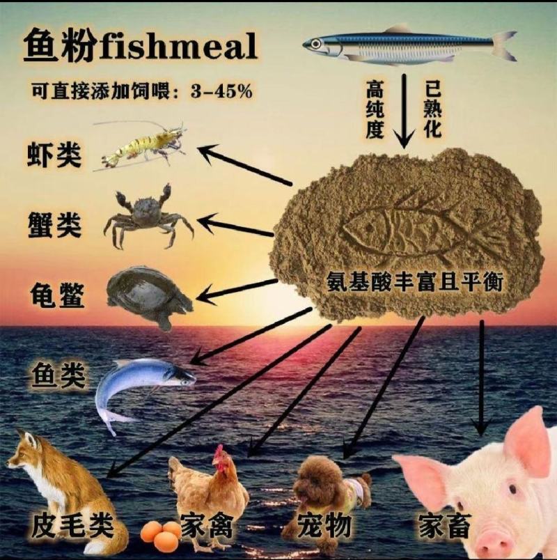 进口秘鲁鱼粉68蛋白鸡猪狗鹌鹑貂狐甲鱼小龙虾鱼畜禽水产