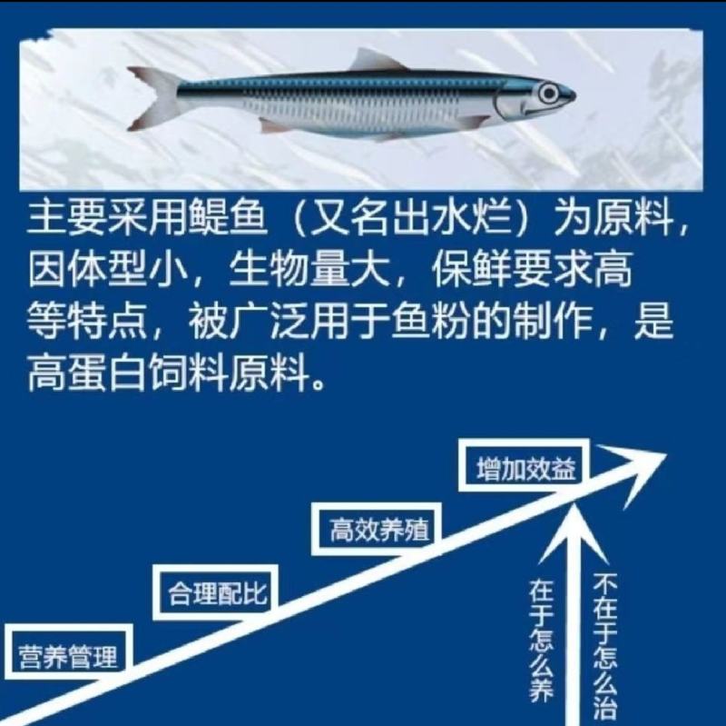 进口秘鲁鱼粉68蛋白鸡猪狗鹌鹑貂狐甲鱼小龙虾鱼畜禽水产