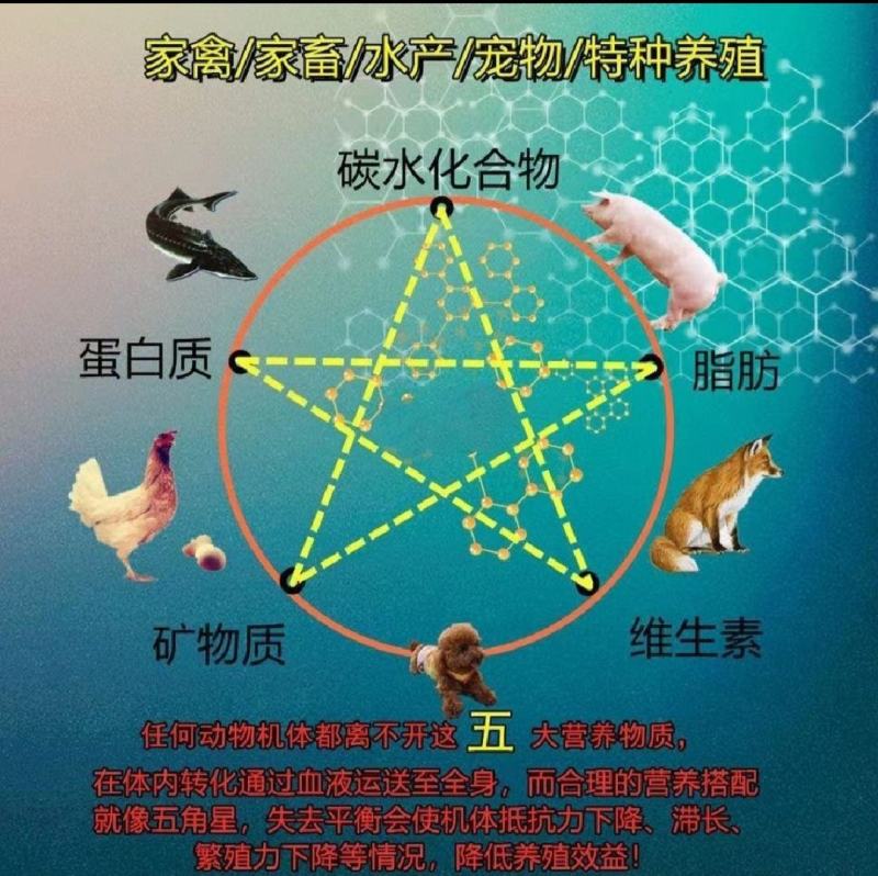 进口秘鲁鱼粉68蛋白鸡猪狗鹌鹑貂狐甲鱼小龙虾鱼畜禽水产