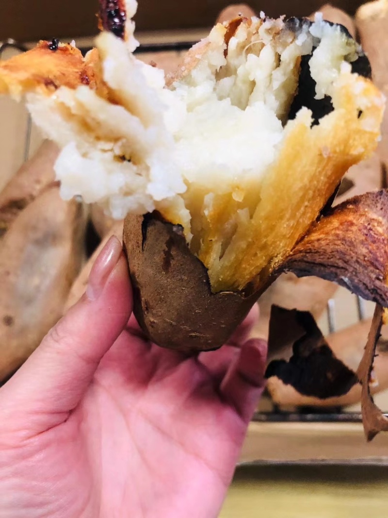 烟薯山东烟薯25烤红薯丘陵沙地种植红皮蜜薯品质保证