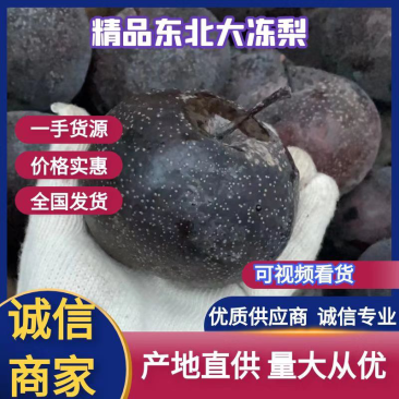 正宗东北大冻梨，高品质一手货源，稳供应，全国发货一件代发