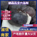 正宗东北大冻梨，高品质一手货源，稳供应，全国发货一件代发