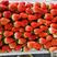 天仙醉奶油草莓产地直发专业供应电商商超市场