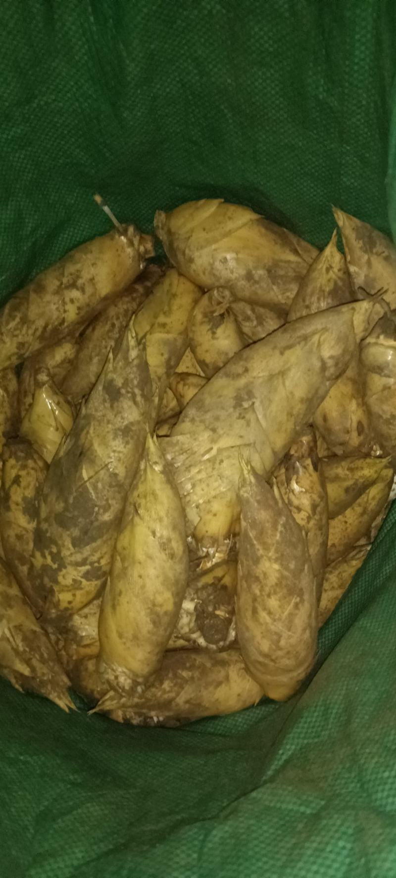 黄泥冬笋就是好吃脆嫩甜爽，就是不一样味道！