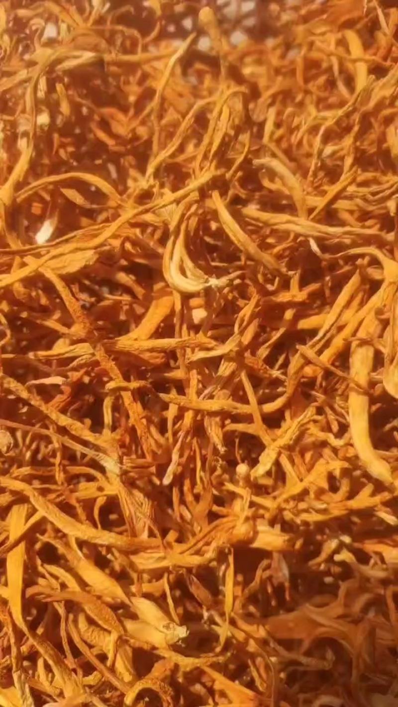 【散箱子大粗条】抖音，京东，天猫，菌汤煲，汤包料用