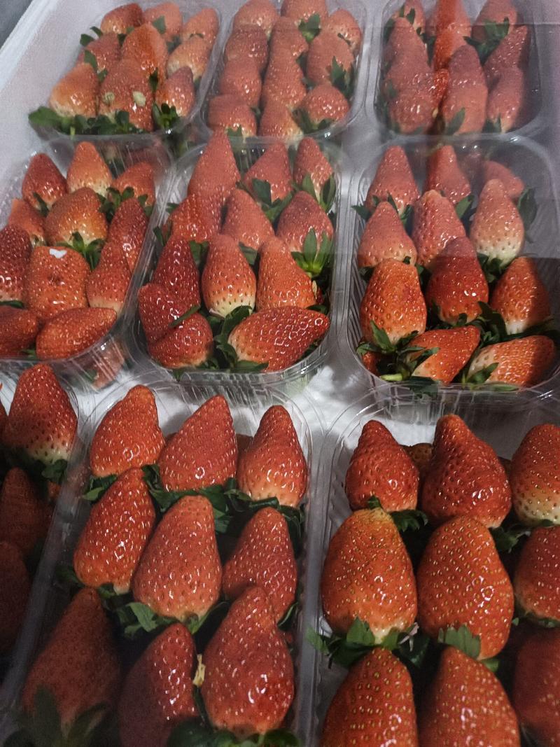 山东省济南市历城区董家镇张而甜宝草莓