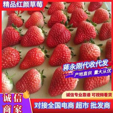 蚌埠草莓代办代发，红颜草莓一手货源基地直发对接各商超