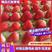 蚌埠草莓代办代发，红颜草莓一手货源基地直发对接各商超