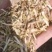 花生秧的草
