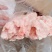 板油-肥猪折叠板油-质量如图-特一级板油-欢迎客户到厂