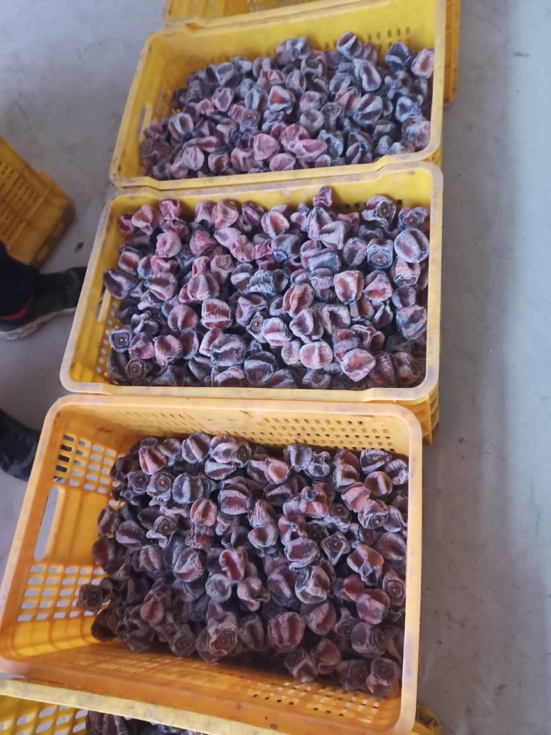 桂林产地柿饼地摊货，赶集批发江湖柿，大量有货广西产地货源
