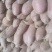 山东紫薯，紫罗兰
