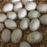 鹅蛋，支持电商平台一件代发全国，养殖场对接，保证蛋品新鲜