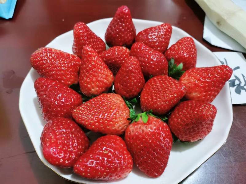 成都奶油巧克力草莓