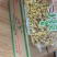 即食橘红八仙果批发价支持全国发货