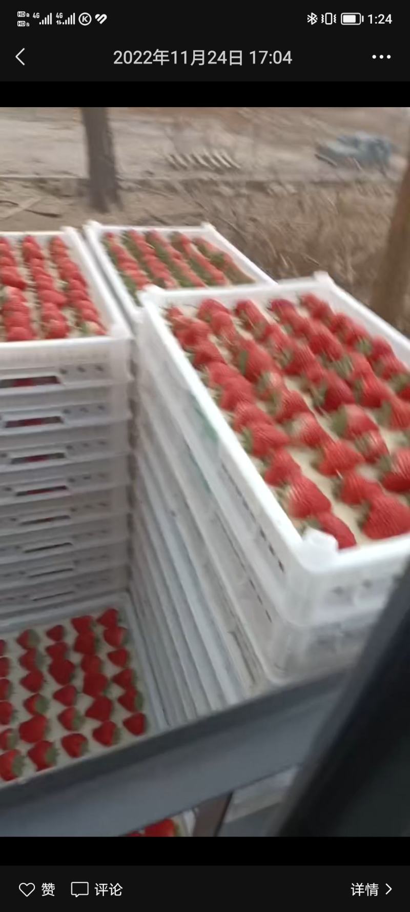 各种草莓批发代办